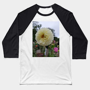 White Dahlia 2 Baseball T-Shirt